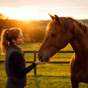 Woman in a vest offers her hand to a brown horse at sunset in a fenced paddock, sharing a gentle moment.