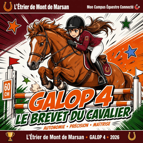 Woman rider on a brown horse jumping an obstacle, with bold 'GALOP 4' and 'Le Brevet du Cavalier' text; promotional horse-riding game cover.