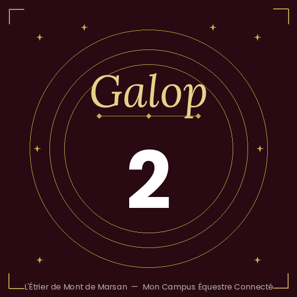 Badge showing 'Galop 2' in gold on a dark burgundy background with concentric gold rings and small stars.