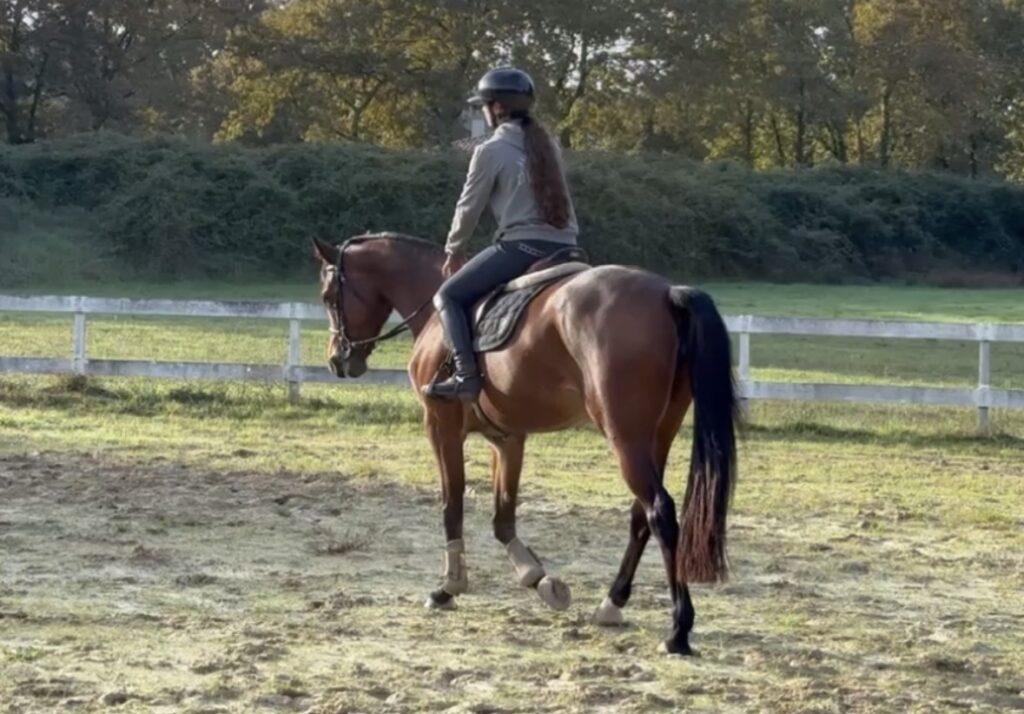 Cavalière travaillant son cheval L'Étrier de Mont-de-Marsan centre équestre Landes