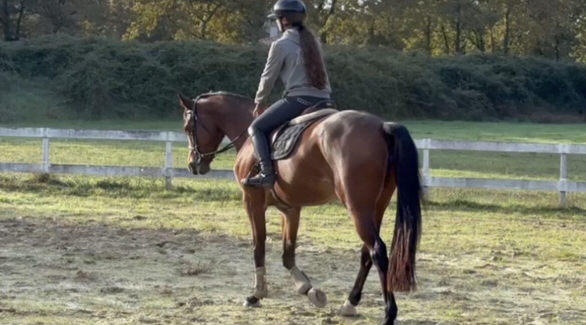 Cavalière travaillant son cheval L'Étrier de Mont-de-Marsan centre équestre Landes