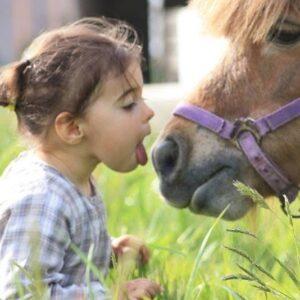 Journée Portes Ouvertes et baptême poney à l'Etrier de Mont de Marsan
