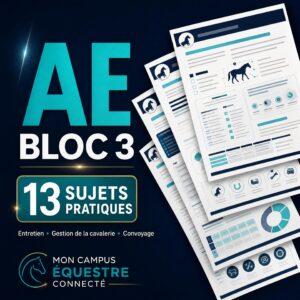 Document récapitulatif d'un cas pratique pour examen oral de l'AE- Mon Campus Equestre Connecté-MCEC